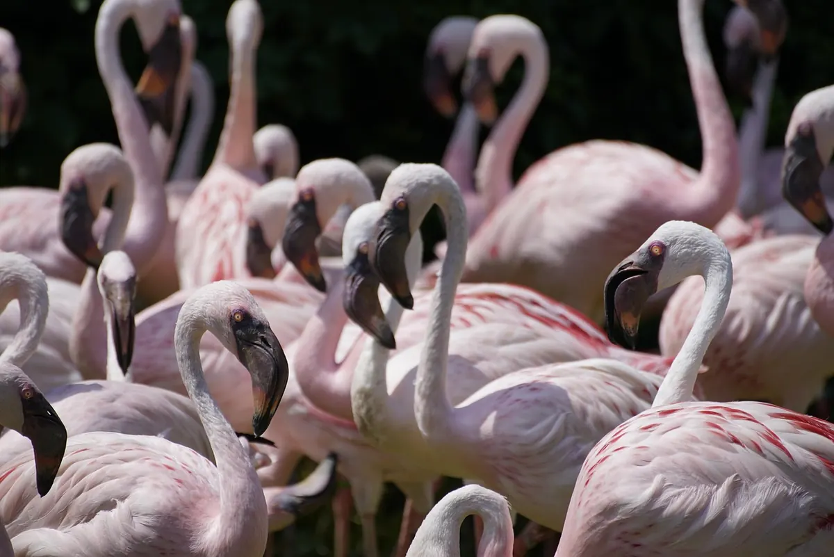 How to Spot Fenland Wildlife Throughout the Year